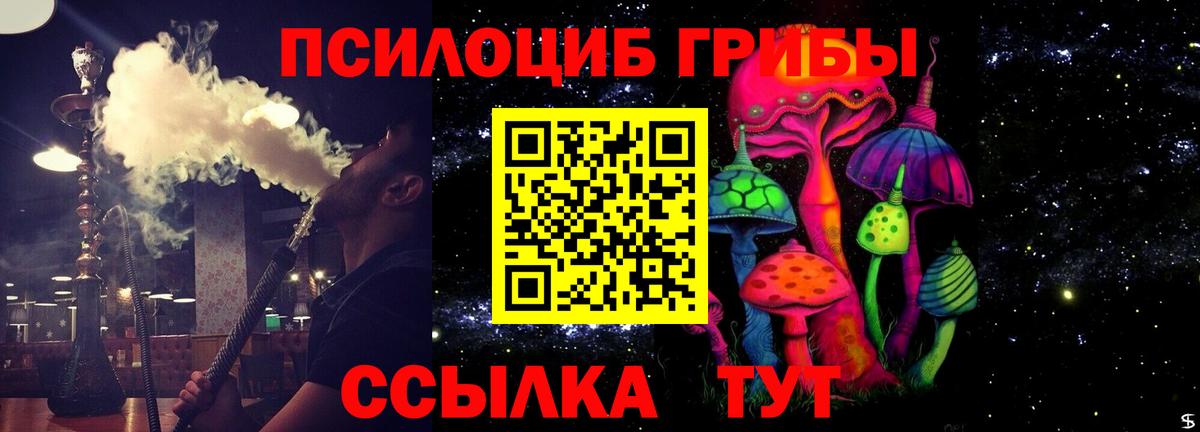 Галлюциногенные грибы мухоморы Переславль-Залесский