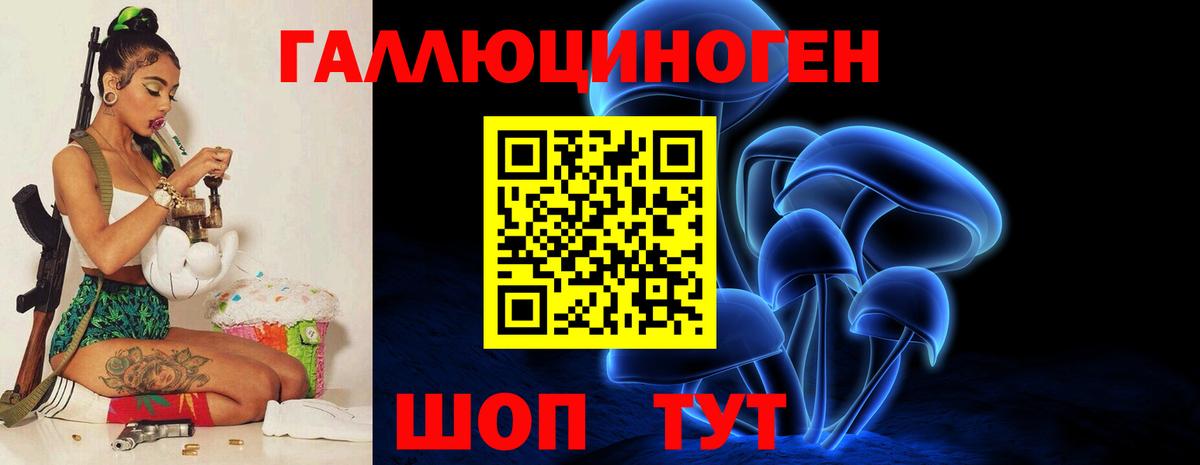 Переславль-Залесский  Псилоцибиновые грибы прущие грибы  Вход с VPN  Галлюциногенные грибы Psilocybe 